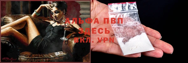сатива Пестово