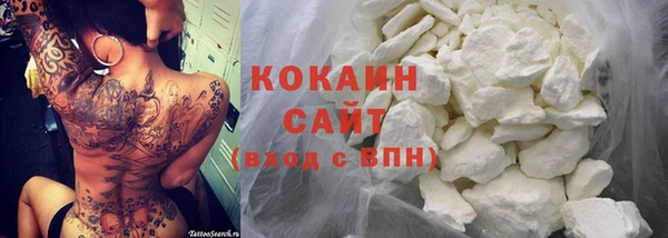 ГАЛЛЮЦИНОГЕННЫЕ ГРИБЫ Пересвет