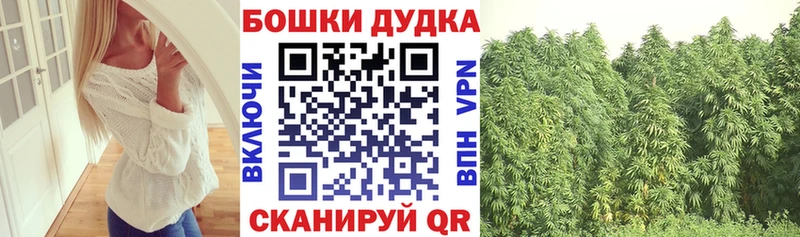 Канабис план  hydra рабочий сайт  мориарти клад  Североморск 